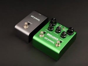 Strymon Brigadier dBucket Delay