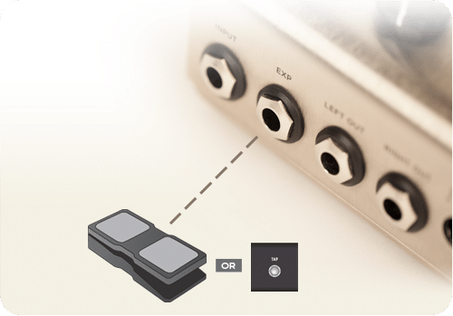 Expression Pedal Input