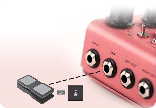 Strymon DIG Expression Pedal