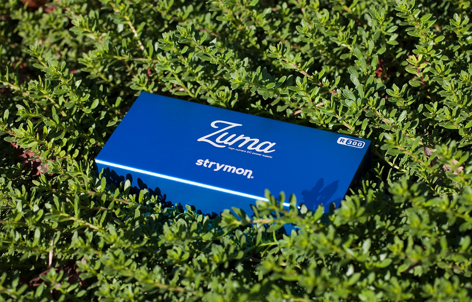 Strymon Zuma R300 pedal power supply