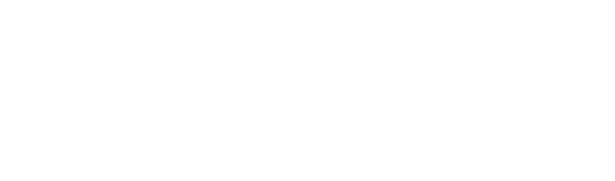 Zelzah Logo White