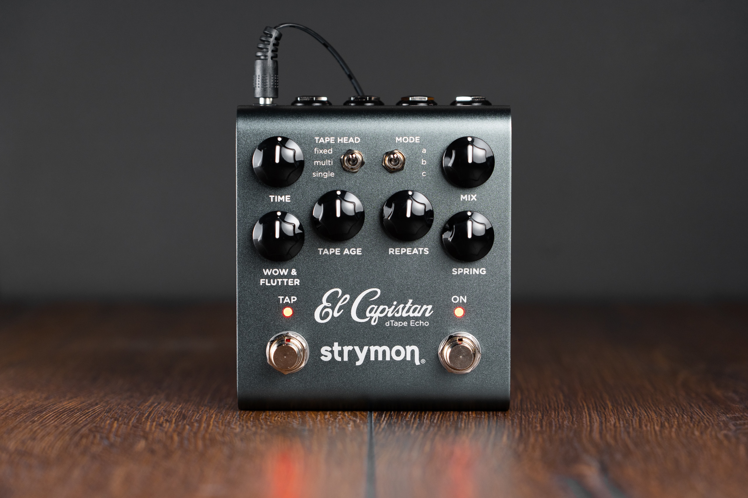 Strymon El Capistan 未使用　ストライモン　テープ　保証有り