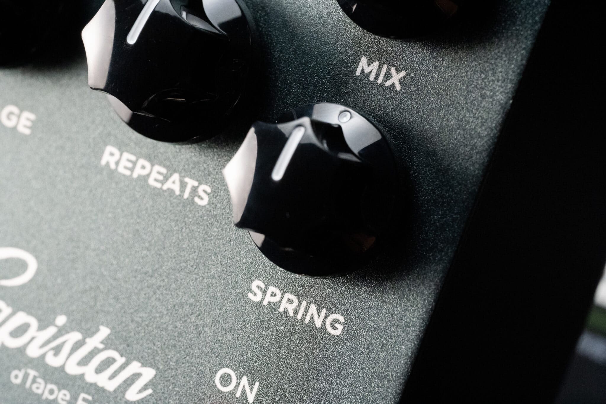 El Capistan V2 Tape Delay Strymon