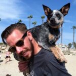 John Maveety - Google Ads Specialist/Digital Marketer