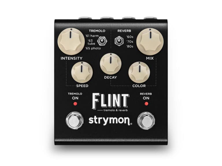 Strymon Flint