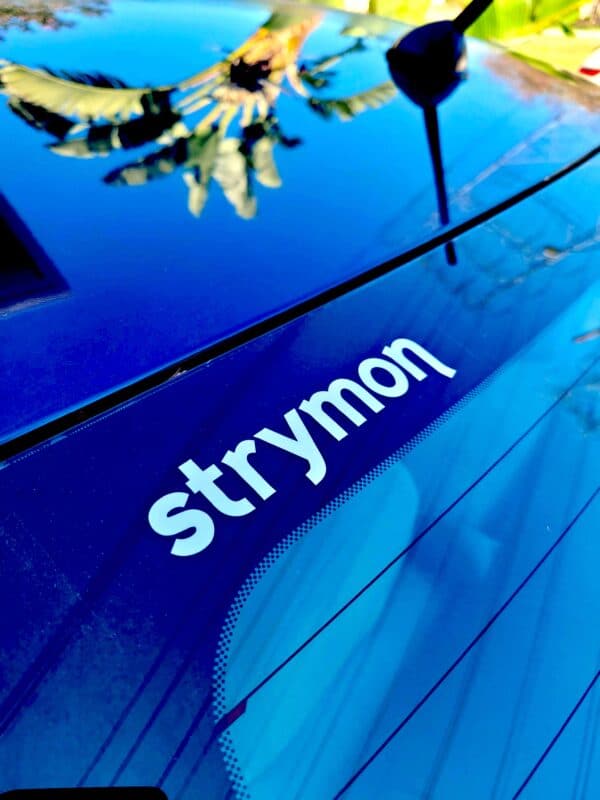 Strymon Logo Transfer Sticker