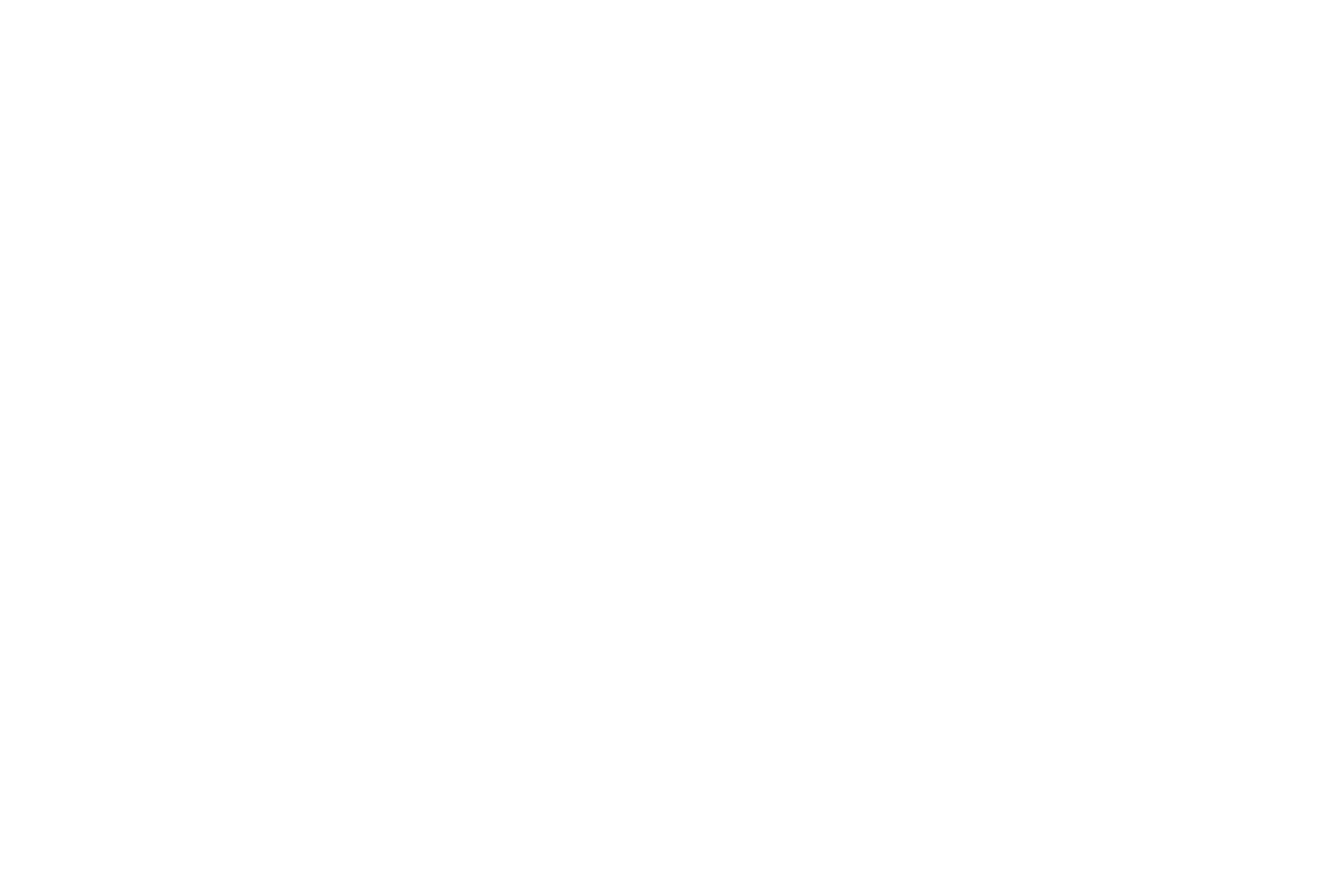 Brig Logo in white