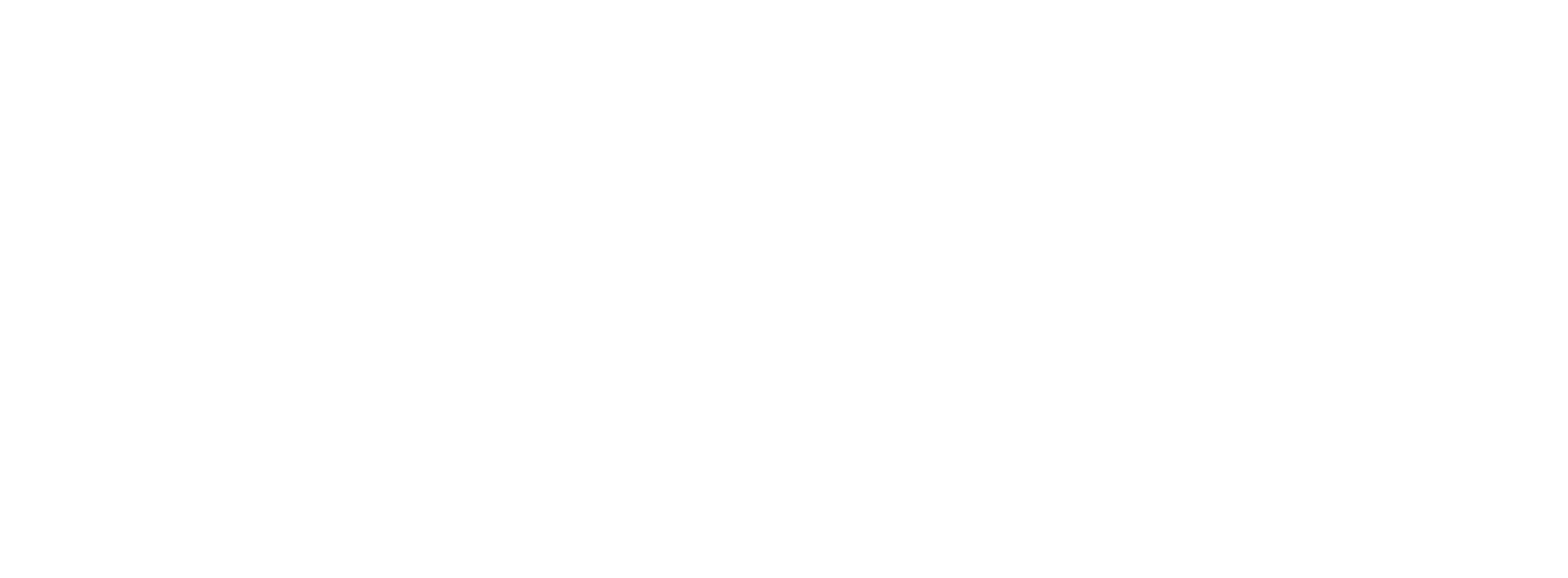 NightSky Logo